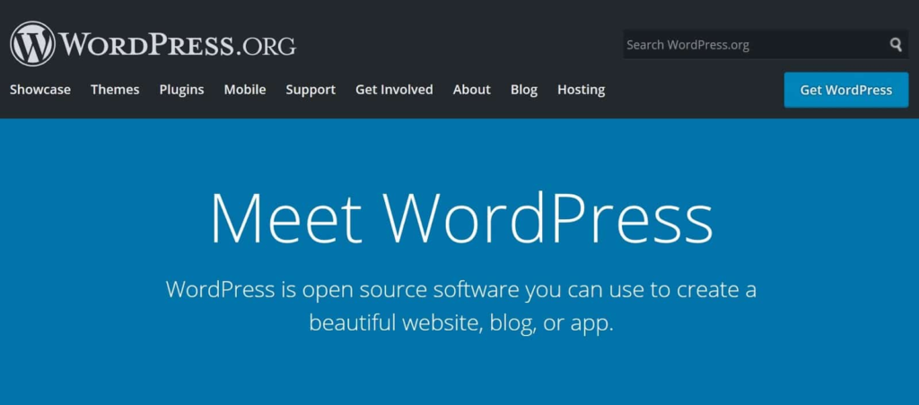 Wordpress CMS for First Website Launch